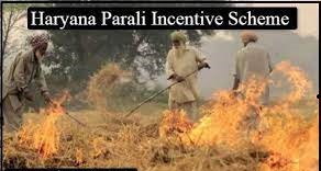 haryana-parali-scheme