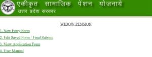 Uttar-Pradesh-Pension-Application