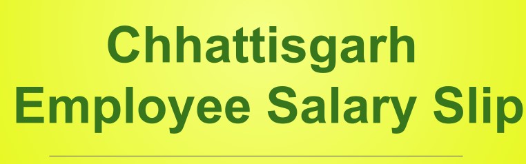 Chhattisgarh-Employee-Salary-Slip-