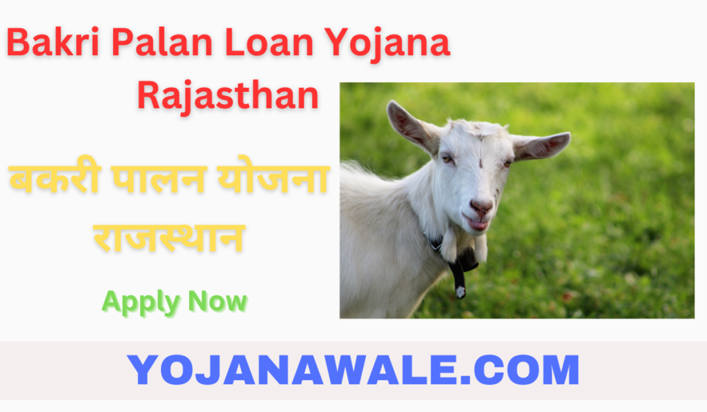 Bakri-Palan-Loan-Yojana-Rajasthan